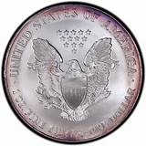 American Silver Eagle Values Images