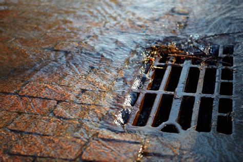 Need To Know About The Hazards Of A Clogged Drain F2fapps