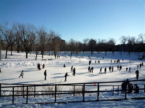The 8 Best Free Winter Activities in Montreal | Winter activities ...