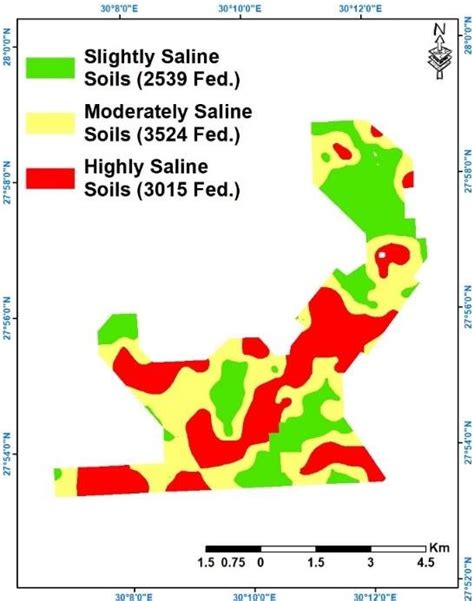 Soil Salinity Map Of The Studied Area Download Scientific Diagram