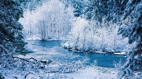 2560x1440 Winter Wallpapers Top Free 2560x1440 Winter Backgrounds