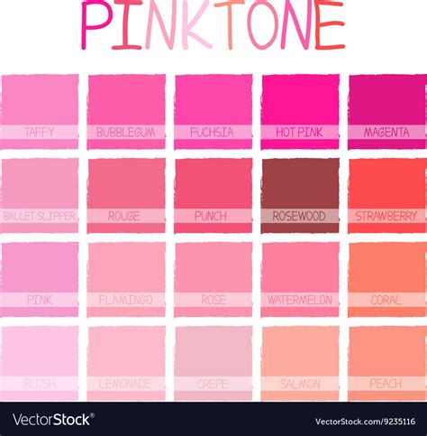 Pinktone Color Tone Royalty Free Vector Image Vectorstock