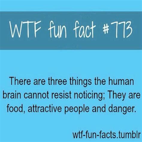 Wtf Fun Facts True Facts Funny Facts Funny Quotes Random Facts