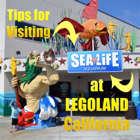 What To Expect At The Sea Life Aquarium At Legoland