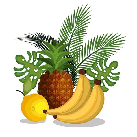 Premium Vector Set Cartoon Fruits Tropicals Design
