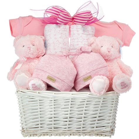 Twin Baby Girls T Baskets Perfect For A Baby Shower Present
