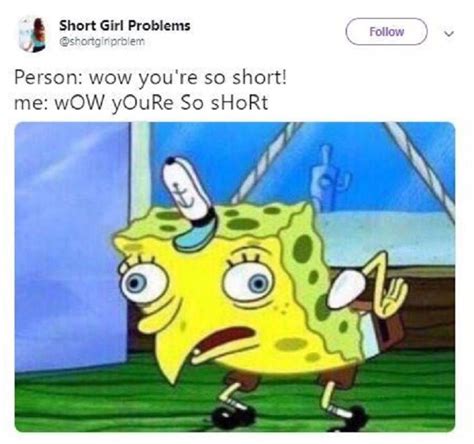 25 Short People Memes That Prove The Struggle Is Real