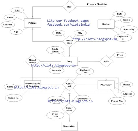 Er Diagram Examples For University