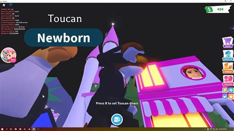 Getting Toucan In Roblox Adopt Me Youtube