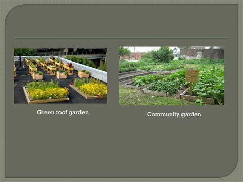 Ppt Urban Gardening Powerpoint Presentation Free Download Id1561603