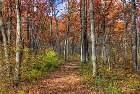 Colorful Hiking Path Through The Woods In Blue Mound State