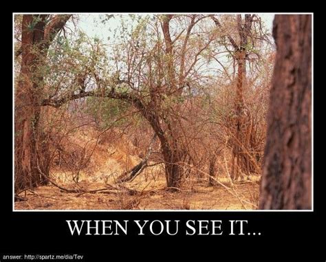 Posters When You See It When You See It Animal