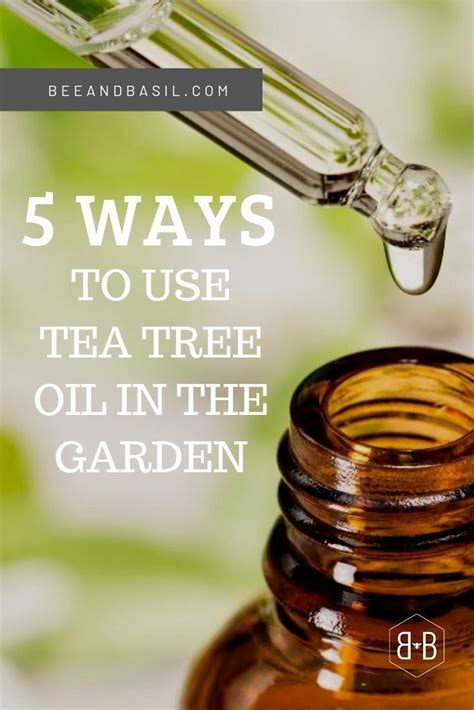 Cannon pest management is a leader in pest control organization certified with iso 9000. From pest control to bug bites to treating plant fungus ...