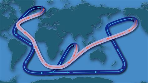 Global Conveyor Belt Quizizz