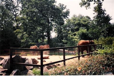 Smithsonian National Zoological Park National Zoo In Washington Dc