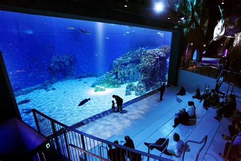 Blue Planet Aquarium Reopens To Become Northern Europes Largest And