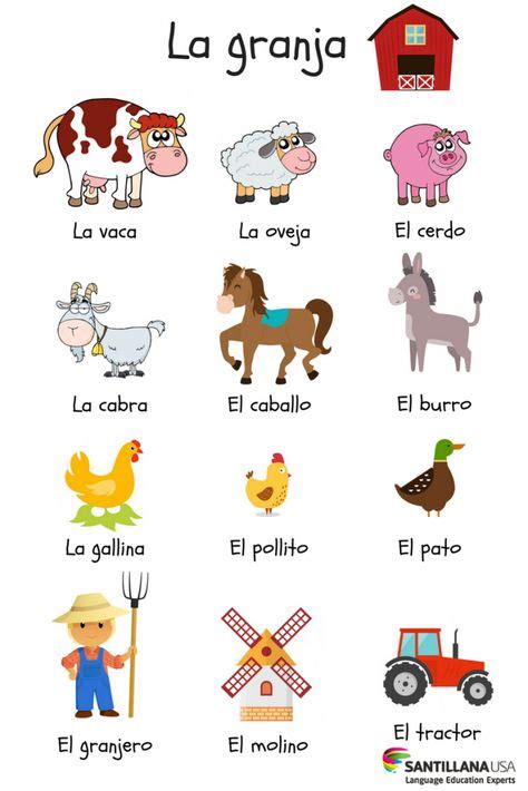 21 Idées De Los Animales Espagnol Apprendre Vocabulaire Espagnol