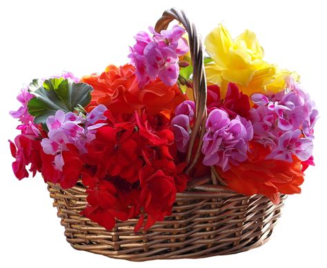 Basket Bunch Of Flowers Flower Free Photo On Pixabay Pixabay