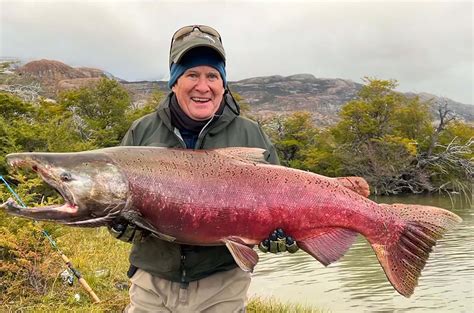 Pending World Record Salmon Caught In Patagonian River Gearjunkie