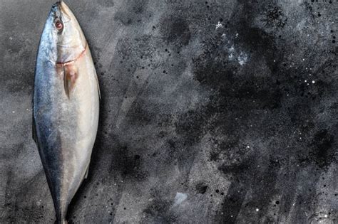 100 Yellowtail Amberjack Photos Stock Photos Pictures And Royalty Free
