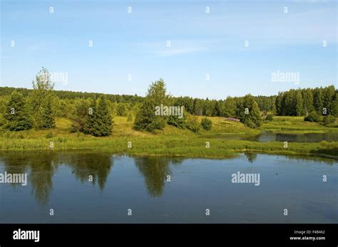 Small Forest Lake Stock Photo Alamy