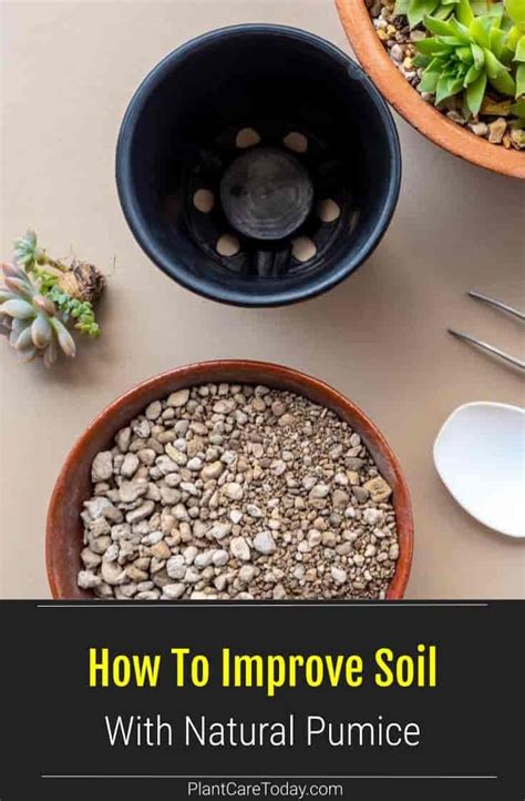 The optimum ph for garden soil. Using Natural Pumice To Improve Soil | PlantCareToday in ...