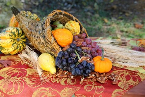 Cornucopia Harvest Stock Image Image Of Colorful Gourds 6720427