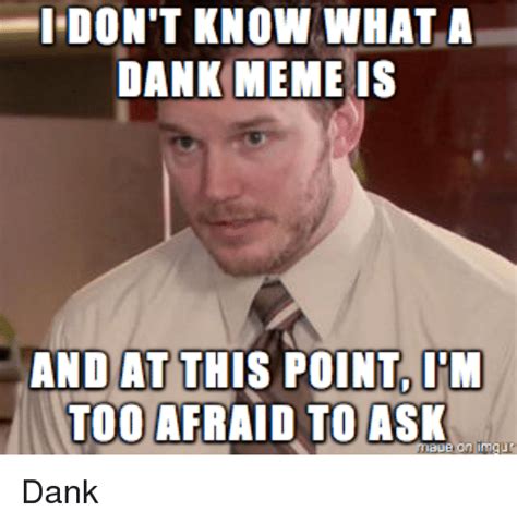 I Dont Know What A Dank Meme Is And At This Point Im Too Afraid To Ask