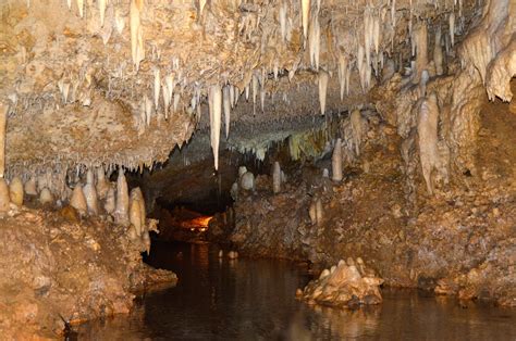 Why You Need To Visit Harrisons Cave Barbados