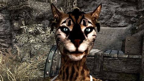 Beautiful Female Khajiit Part Skyrim Xbox One YouTube