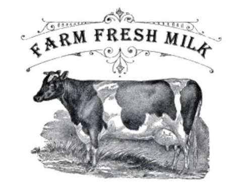 Vintage Image Farm Fresh Milk Cow Dairy Furniture Labels Etsy Farm