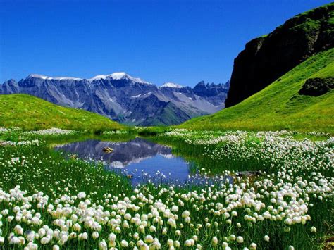 Chüebodensee Lake Swiss Alps With Images Beautiful Nature Spring