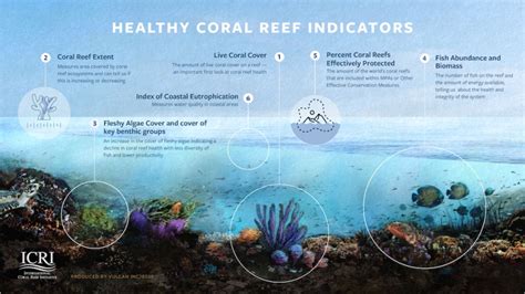 Oil Spill In Mauritius Calls For More Efforts To Safeguard Coral Reef