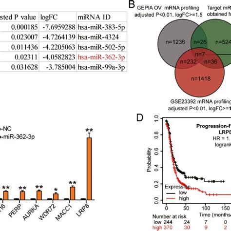 mir 362 3p targeting lrp8 repressed cell viability and proliferation of download scientific