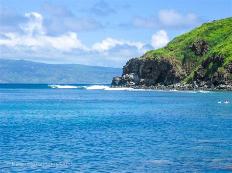 Honolua Bay Snorkeling Secrets The Complete Guide To Maui Snorkeling
