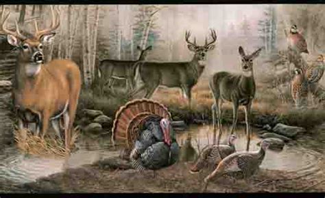 Wildlife Wallpaper Murals Our Animals And Wildlife Wall Murals Will