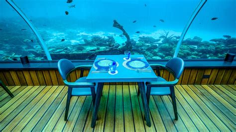 58 Undersea Restaurant Restaurant Review — Wbp Stars