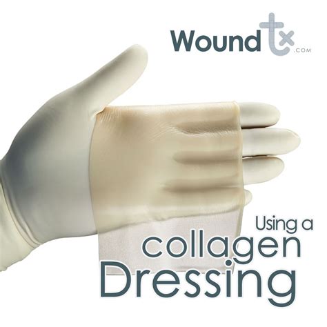 The Collagen Helps To Promote The Growth Of New Collagen At The Wound