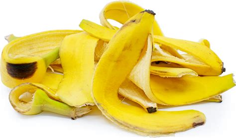 Banana Peels Information Recipes And Facts