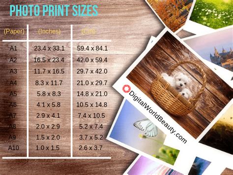 Best Dpi For Printing Photos And Standard Photo Sizes Guide