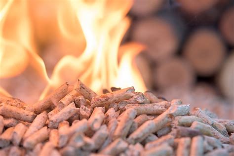 What Is Biomass Which Countries Burn The Most Biomass