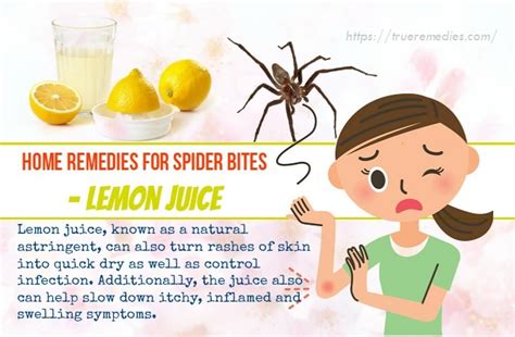 28 Simple Home Remedies For Spider Bites On Face Neck Arm