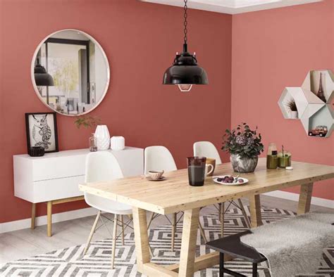 Try Nutmeg Cream N House Paint Colour Shades For Walls Asian Paints