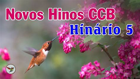 Novos Hinos Ccb Hinos Da Congregação Cristã No Brasil Hinos Ccb