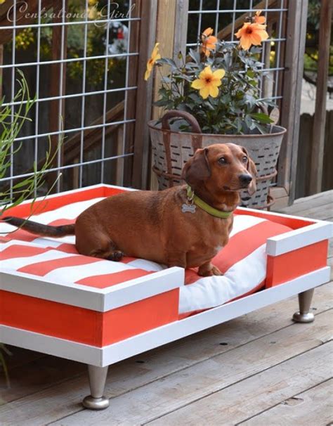 20 Adorable Easy Diy Dog Bed Ideas Wooden And No Sew