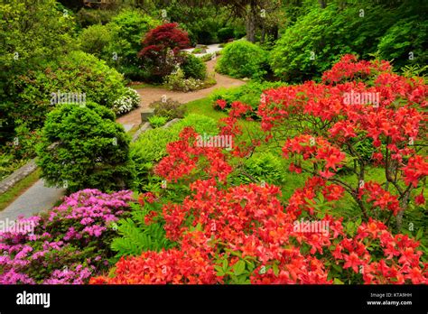 Asticou Gardens Northeast Harbor Mount Desert Island Maine Usa