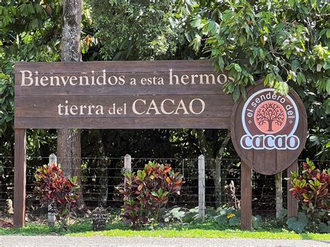 Cacao Plantation And Chocolate Factory Tour Classic