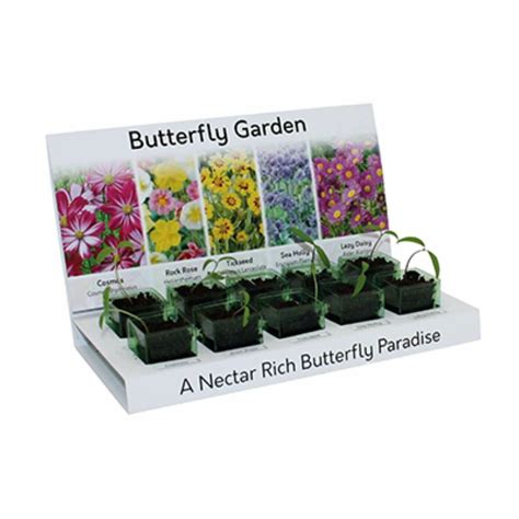 Butterfly Garden Eco Grow Kit