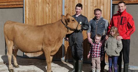 Savoie Trois vaches du Beaufortain sélectionnées au Salon de l agriculture
