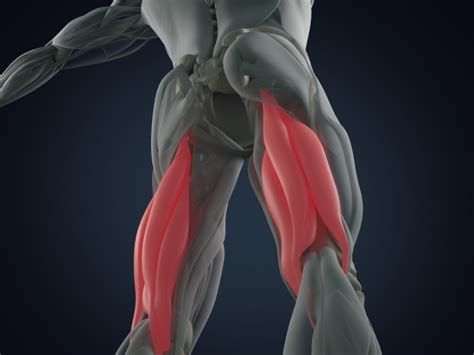 Hamstring Injuries From Symptoms To Treatment Healthwasp